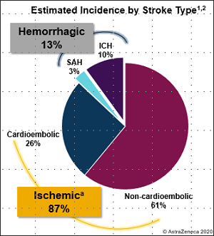 Astra Zeneca Stroke Pie Chart_with border